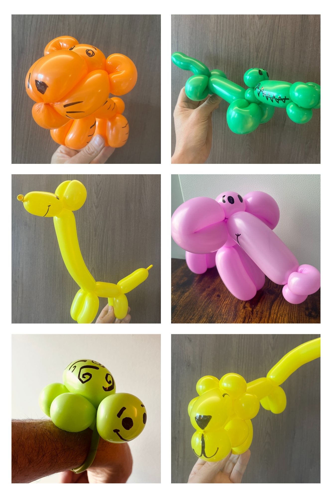 six pictures of various balloon animal sculptures, including a giraffe and a lion